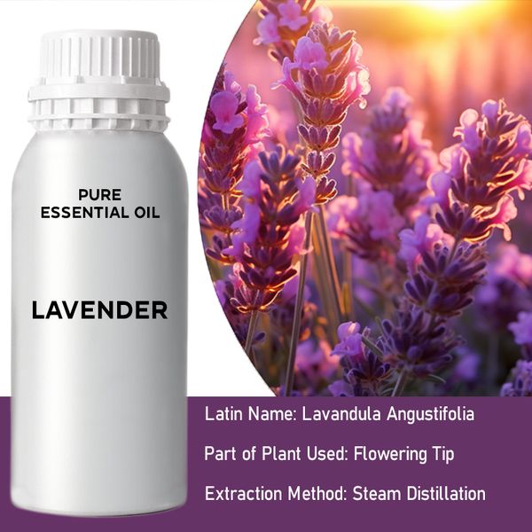Lavender Bulk Essential Oil - 1Kg