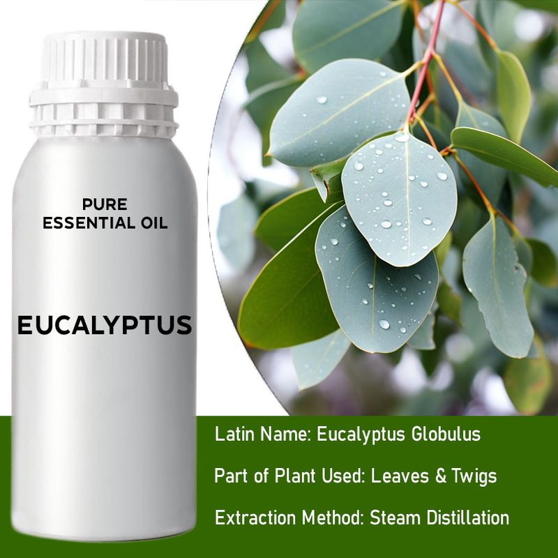 Eucalyptus Bulk Essential Oil - 1Kg