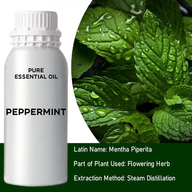 Peppermint (Piperita) Bulk Essential Oil - 1Kg