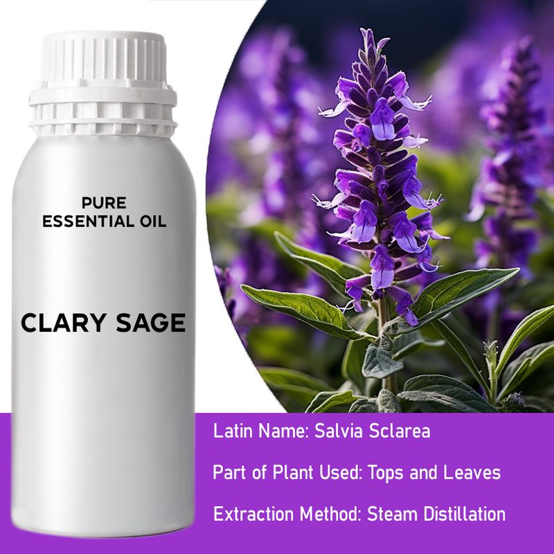 Clary Sage Bulk Essential Oil - 1Kg
