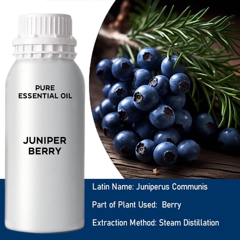 Juniper Berry Bulk Essential Oil - 1Kg