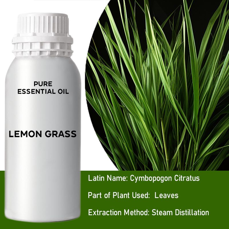 Lemongrass Bulk Essential Oil - 1Kg