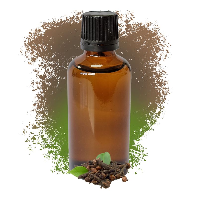 Clove Leaf Essential Oil 50ml - White Label