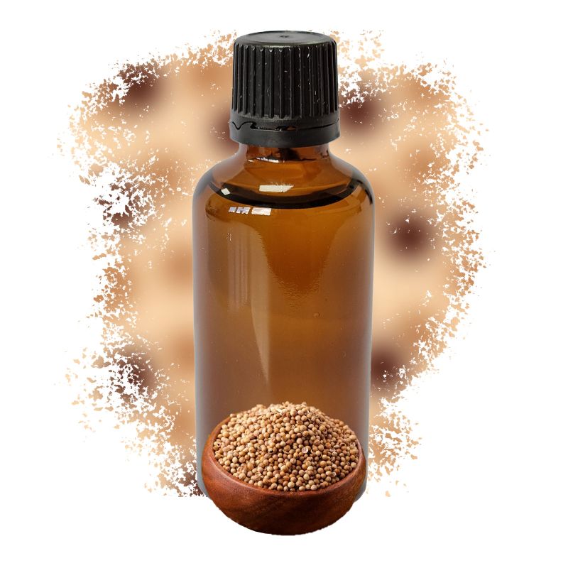 Coriander Seed Essential Oil 50ml - White Label