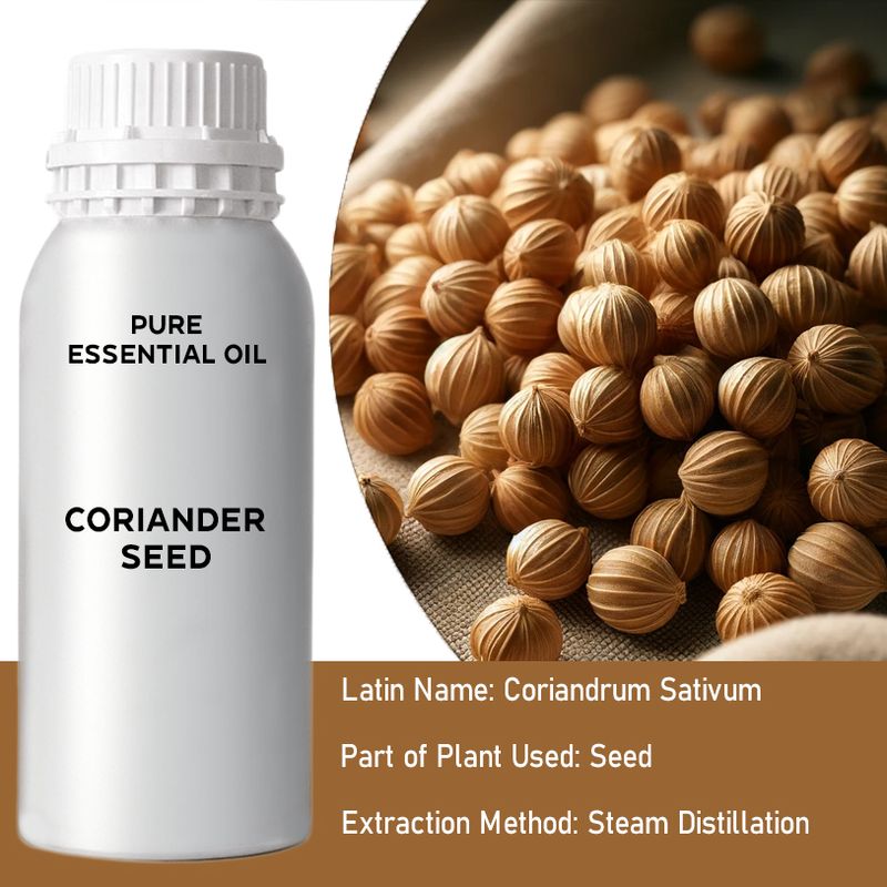 Coriander Seed Bulk Essential Oil - 1Kg