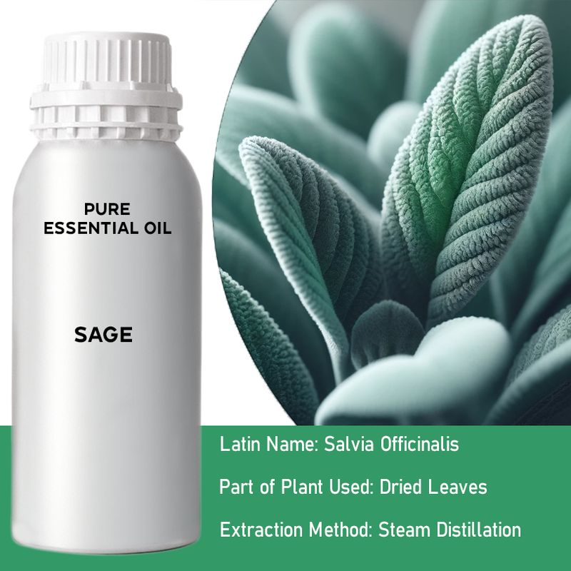 Sage Bulk Essential Oil - 1Kg