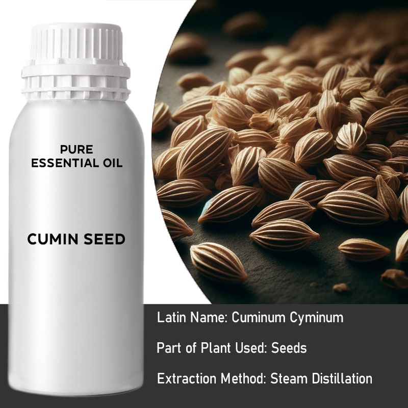 Cumin Seed Bulk Essential Oil - 1Kg