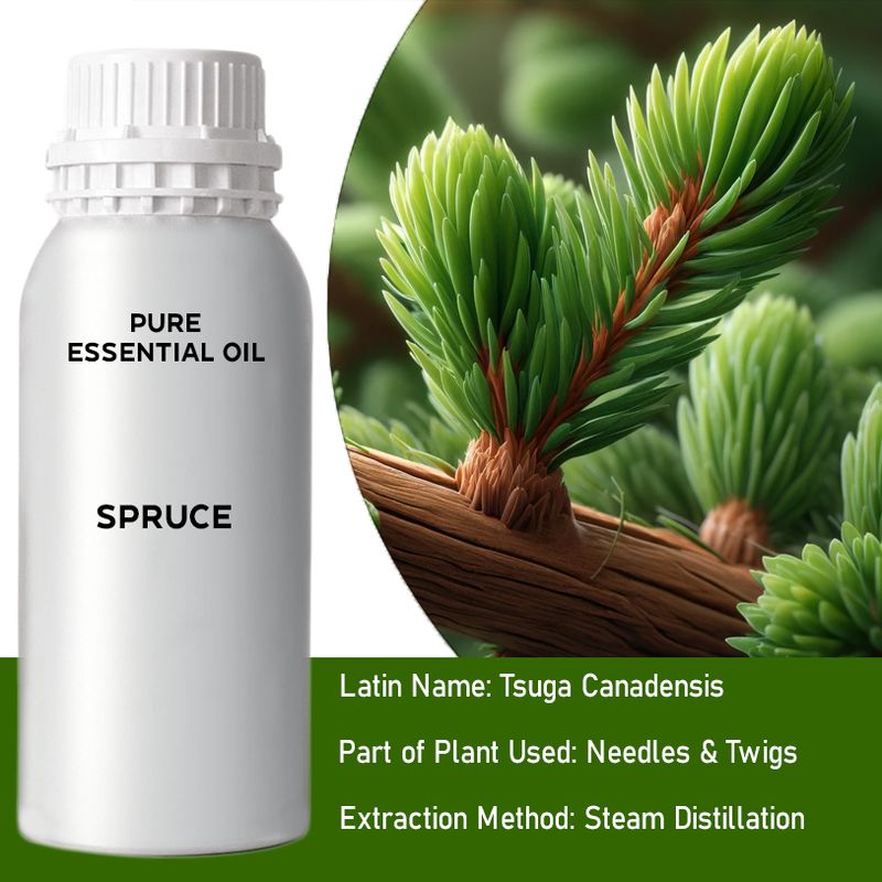Spruce Bulk Essential Oil - 1Kg