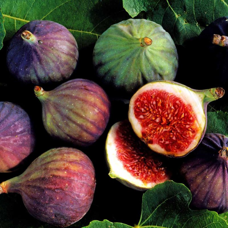 Fresh Fig Flavour Oil