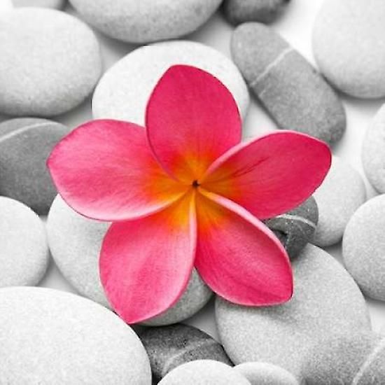 Zen Flower Flavouring 250g