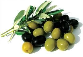 Olive Carrier Oil 1kg - Cold Pressed