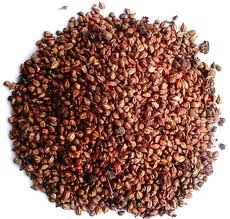 Grapeseed Carrier Oil 1kg - Cold Pressed