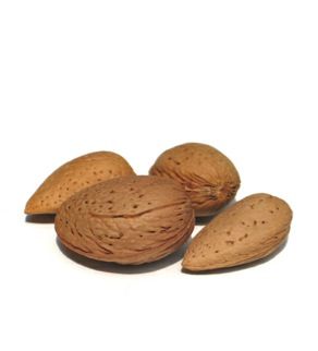 Sweet Almond Carrier Oil 1kg - Cold Pressed