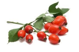 Rosehip Carrier Oil 1kg - Cold Pressed
