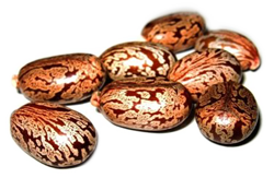 Castor Carrier Oil 1kg - Cold Pressed