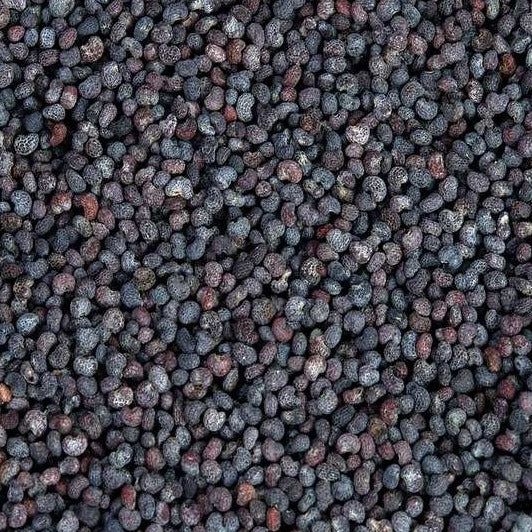 Poppy Seeds (Blue) (KG)