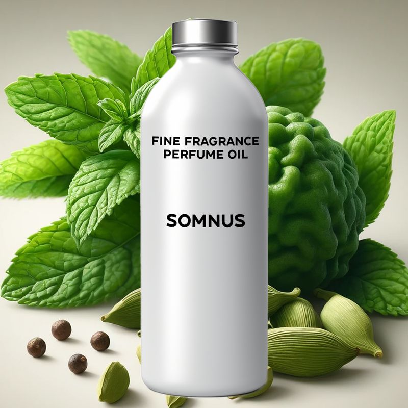 Bulk Somnus Fine Fragrance Perfume Oil - 1L