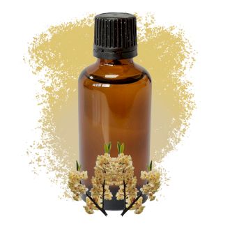 May Chang Essential Oil 50ml - White Label