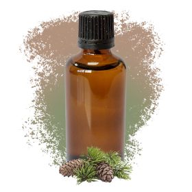 Pine Sylvestris (Scots Pine) Essential Oil 50ml - White Label