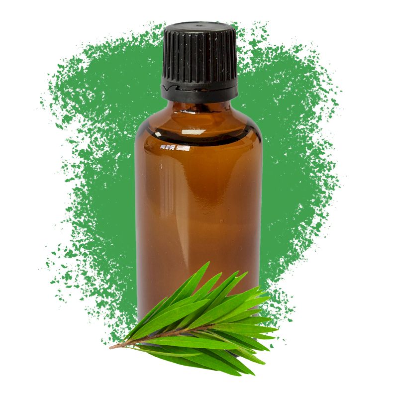 Tea Tree Essential Oil 50ml - White Label