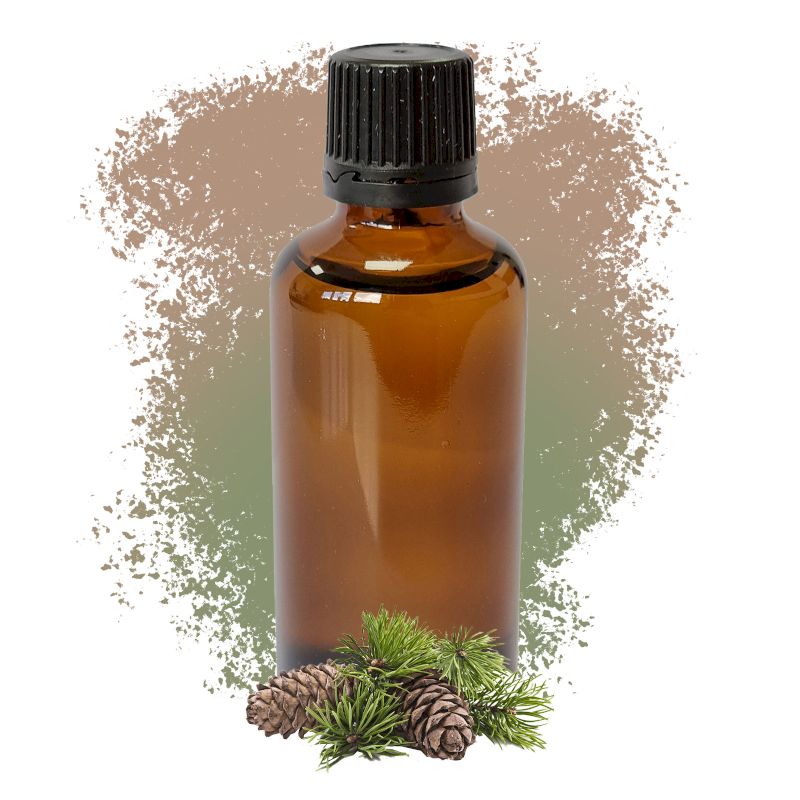 Pine Sylvestris (Scots Pine) Essential Oil 50ml - White Label