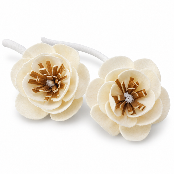 Natural Diffuser Flowers