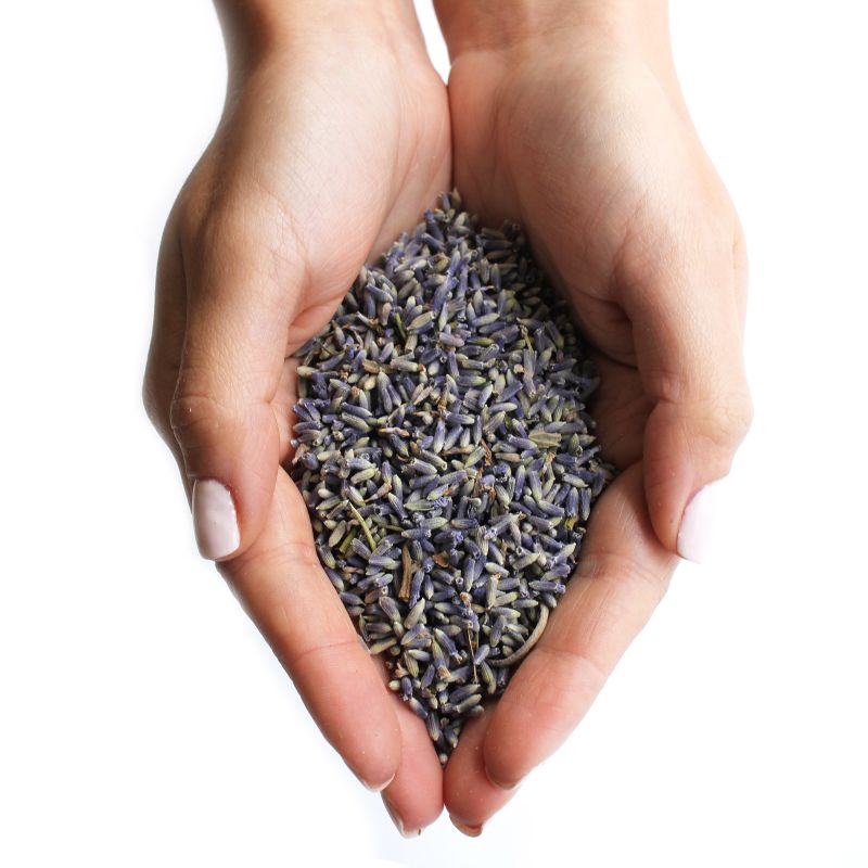Lavender Flowers (KG)