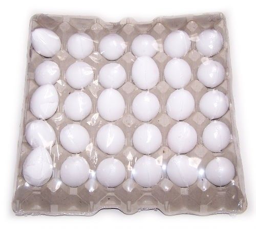 Coconut Bath Eggs in a Tray - White Label