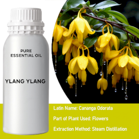 Ylang Ylang I Bulk Essential Oil