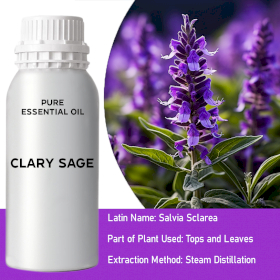 Clary Sage Bulk Essential Oil