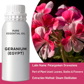 Geranium (Egypt) Bulk Essential Oil