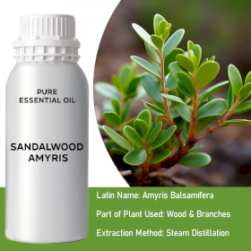 Sandalwood Amyris Bulk Essential Oil