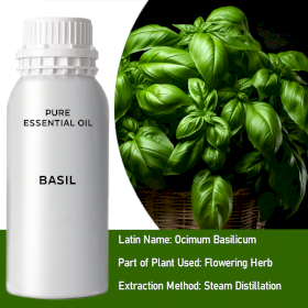 Basil Bulk Essential Oil