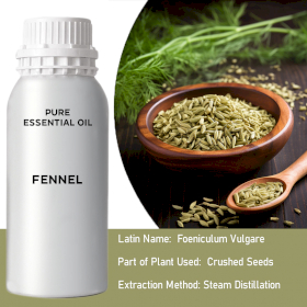 Fennel Bulk Essential Oil