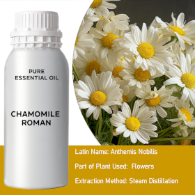 Chamomile Roman Bulk Essential Oil