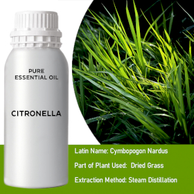 Citronella Bulk Essential Oil