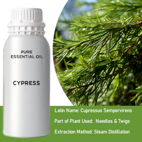 Cypress Bulk Essential Oil