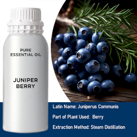 Juniperberry Bulk Essential Oil