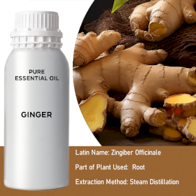 Ginger Bulk Essential Oil