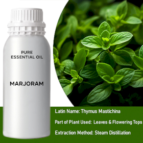 Marjoram Bulk Essential Oil