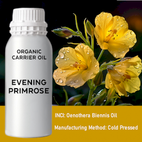 Organic Evening Primrose Carrier Oil