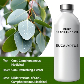 Eucalyptus Pure Fragrance Oil
