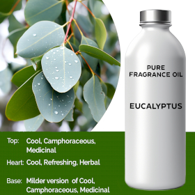 Eucalyptus Fragrance Oil