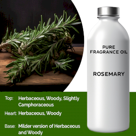 Rosemary Pure Fragrance Oil