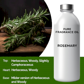 Rosemary Fragrance Oil