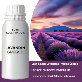 Lavandin Grosso Essential Oil (KG)