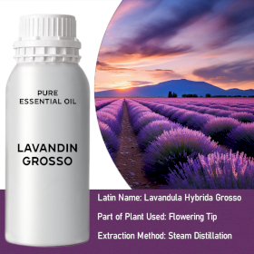 Lavandin Grosso Essential Oil (KG)