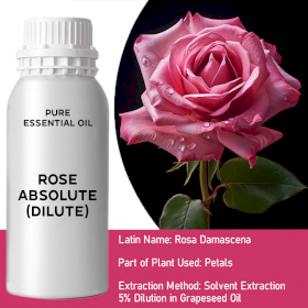 Rose Dilute Essential Oil