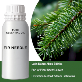 Fir Needle Bulk Essential Oil