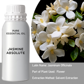 Jasmine Absolute Bulk Essential Oil